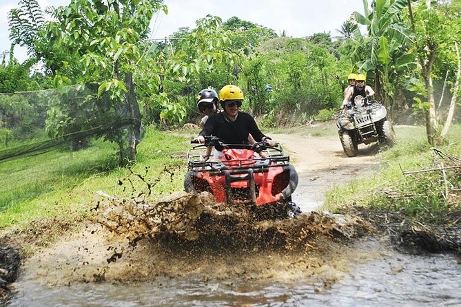 Bali Quad Bike Through Gorilla Cave - Monkey Forest and Waterfall - Is $67 a good value?