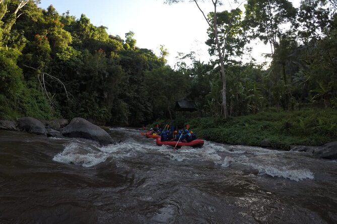 Bali Rafting - Who Should Book This Ubud Adventure?