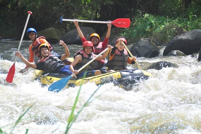 Bali Rafting - Ubud River Rafting With Lunch - Waterfalls and river scenery between the rapids