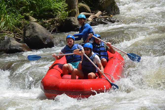 Bali Rafting - Ubud River Rafting With Lunch - Who will enjoy this rafting trip most