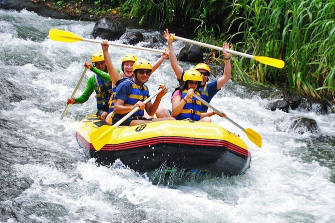 Bali Rafting Ubud with Lunch - Forest, cliffs, waterfalls, and rice fields