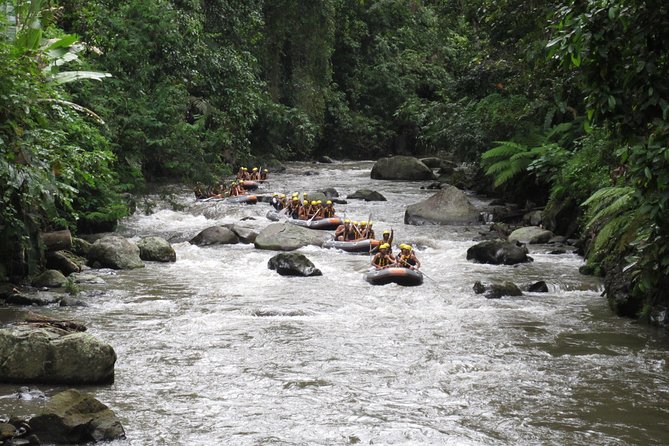 Bali Rafting Ubud with Lunch - Who should book this rafting trip?