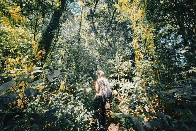 Bali Rainforest Hiking With Canoeing And Waterfall Adventure - Key points at a glance