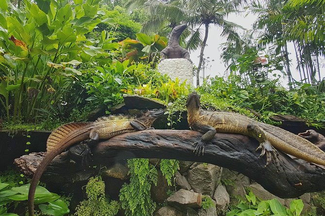 Bali Reptile Park Entrance Ticket - Is $15.27 a fair price?