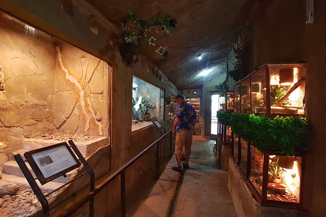 Bali Reptile Park Entrance Ticket - Getting there and fitting it into your day