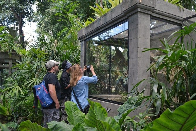 Bali Reptile Park Entrance Ticket - How to get the most from your visit