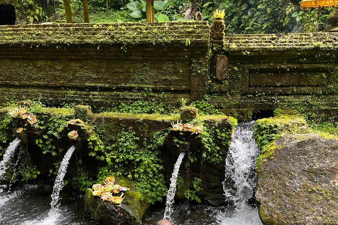 Bali Samanic Healing Purification Natural - Timing, weather, and practical planning