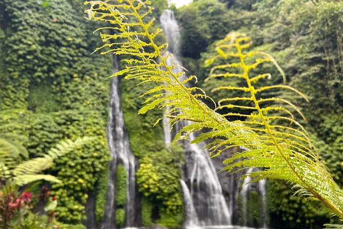 Bali Secret Waterfalls: Banyumala & Leke Leke Waterfalls - Banyumala begins with a beautiful forest walk