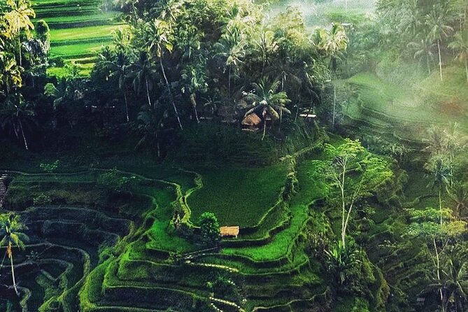 Bali Sightseeing - Tirta Empul and the holy spring ritual