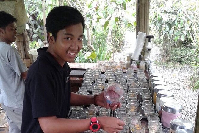 Bali Sightseeing - Tegalalang Rice Terrace and the Subak system