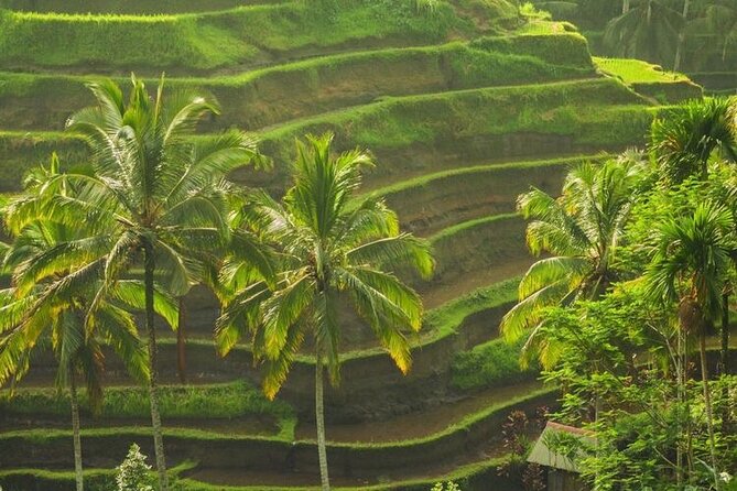 Bali Sightseeing - What the $78 price really covers