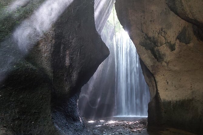 Bali Sightseeing Tour - Traditional village - Waterfall - A full day of Bali’s nature and customs