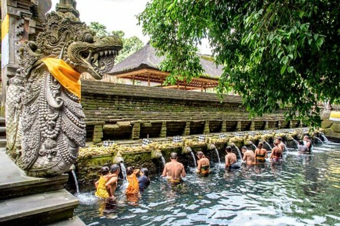 Bali Sightseeing Tour - Traditional village - Waterfall - The optional coffee plantation stop