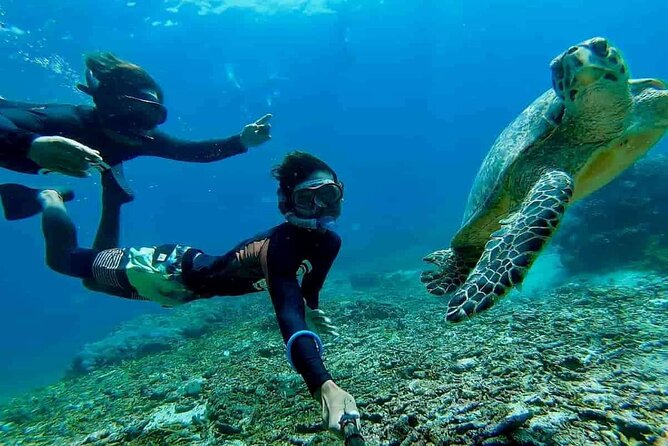 Bali Snorkeling 2 Spot at Blue Lagoon with Lunch & Transport - Why Blue Lagoon works for a first snorkeling day