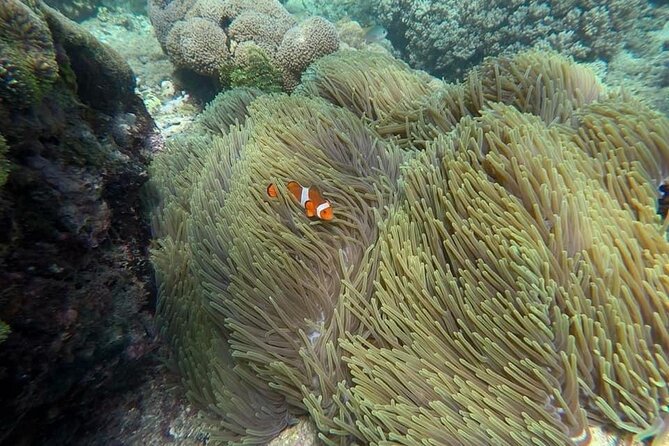 Bali Snorkeling 2 Spot at Blue Lagoon with Lunch & Transport - The briefing and equipment setup