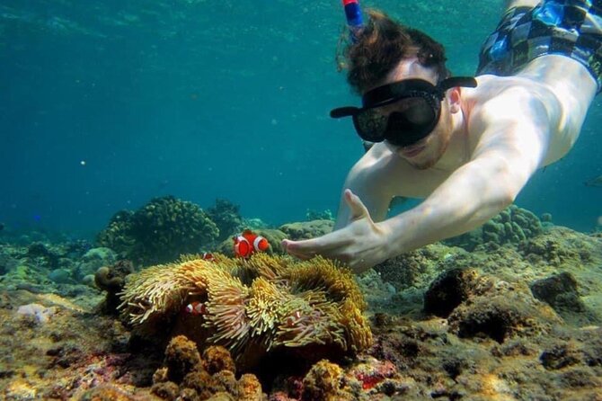 Bali Snorkeling 2 Spot at Blue Lagoon with Lunch & Transport - Two hours among fish at Blue Lagoon