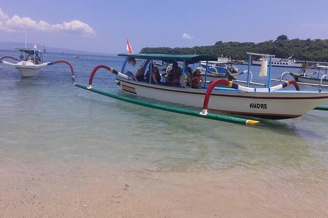 Bali Snorkeling 2 Spot at Blue Lagoon with Lunch & Transport - What the private format changes