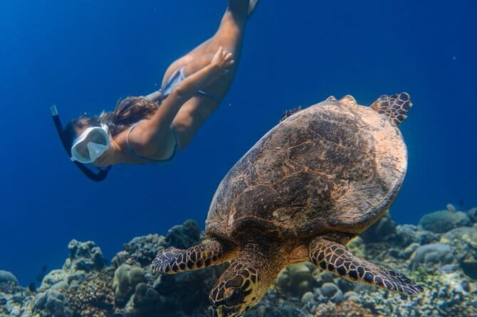 Bali Snorkeling at Blue Lagoon and Tanjung Jepun with Transfer - The return to Ubud and the real time commitment