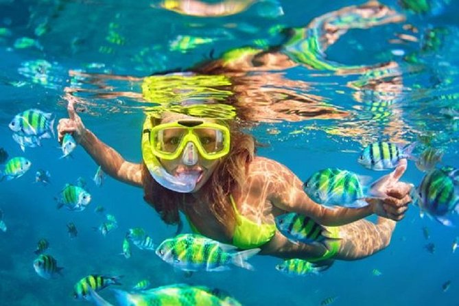 Bali Snorkeling at Blue Lagoon with Transport and Lunch - Two reefs, one practical day from Bali