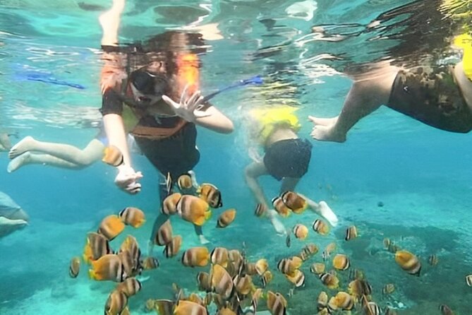 Bali Snorkeling Tour At Blue Lagoon with Gate of Heaven Temple - Cancellation and booking advice