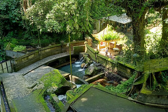 Bali Spiritual Soul Retreat Cleansing and Mantra Healing - What the $79 price covers
