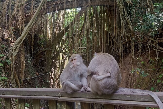 Bali Sunrise Horse Riding and Tour - How the private format affects the day