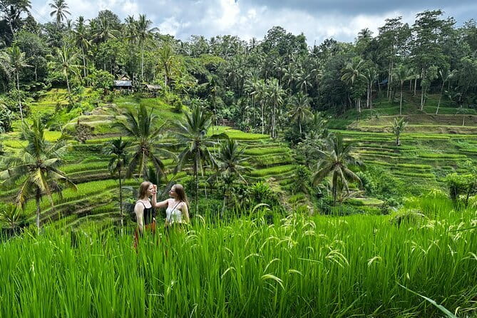 Bali Sunrise Without Hiking: Temples, Rice Terraces & Waterfall - A volcano sunrise without a pre-dawn mountain climb