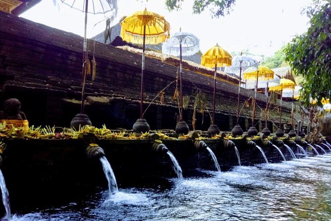 Bali Swing Ubud Private Day Tour - Coffee tasting at Segara Windhu