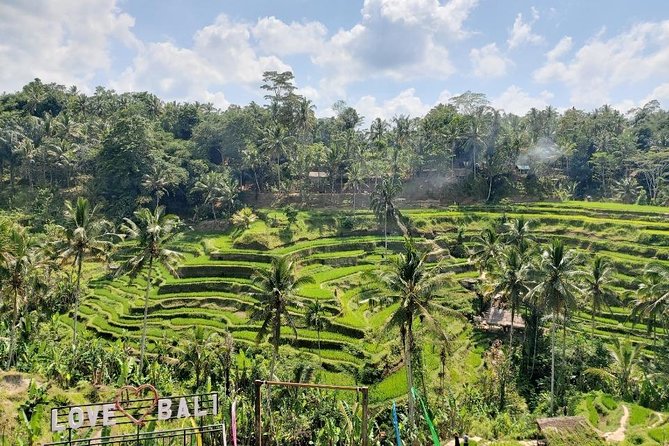 Bali Swing Ubud Private Day Tour - Walking through Sacred Monkey Forest