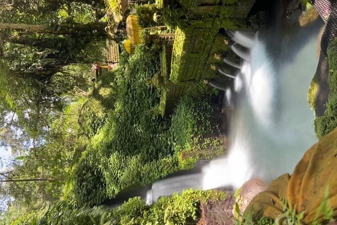 Bali Tour Driver - Mas Village and Bali’s wood carving tradition