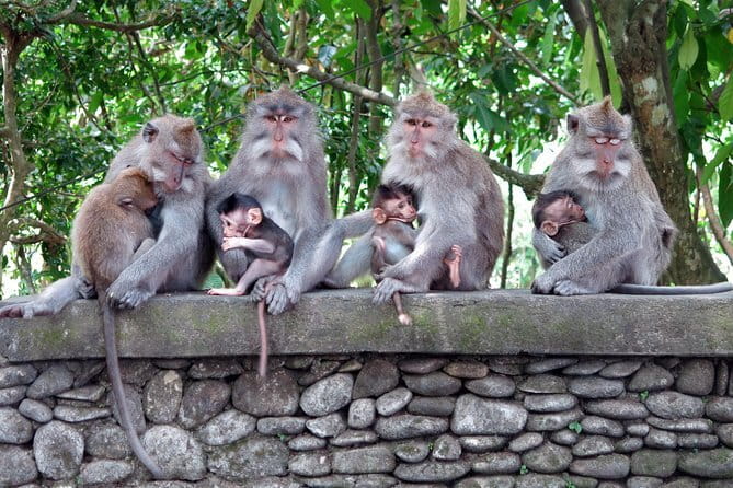 Bali Tour Driver - Batuan Temple, where the day begins with Balinese design