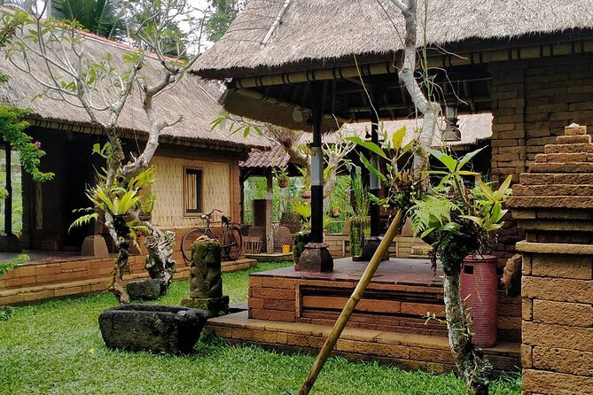 Bali Tour: Kintamani Tour with Lunch - The Holy Springs at Tirta Empul