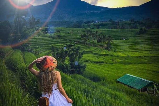 Bali Tour: Tanah Lot, UNESCO Rice Terrace and Water Temple - Why the driver can shape the whole day