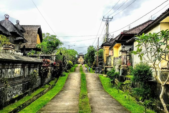 Bali Traditional Village Experience - Key Points at a Glance