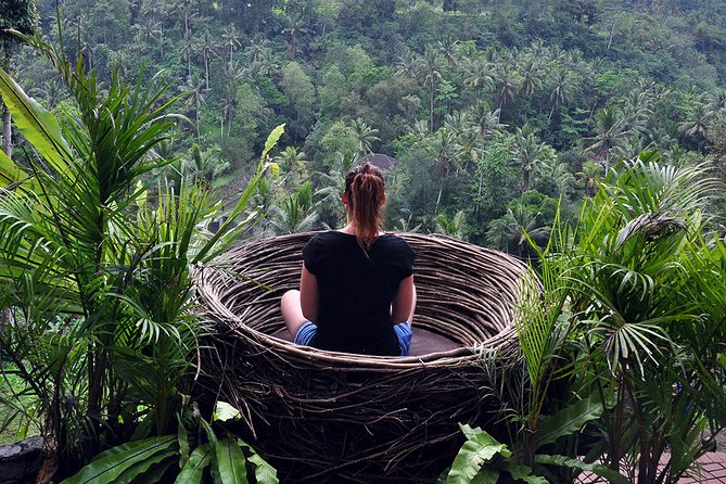 Bali Ubud and Volcano Day Tours - Tegalalang Rice Terrace and Bali’s farming view