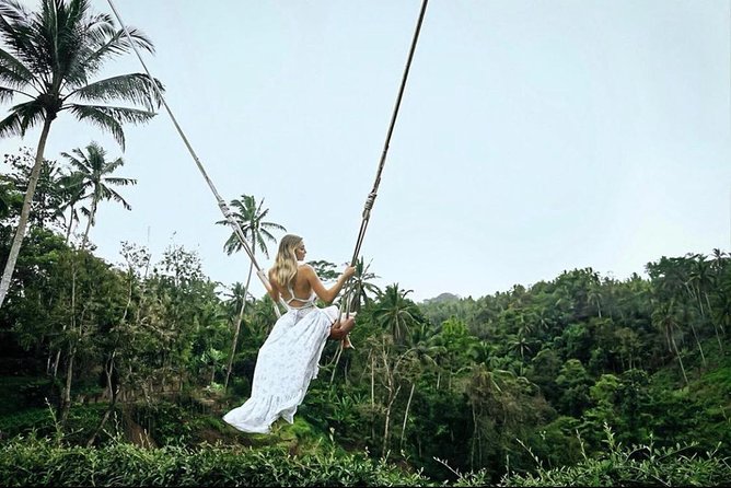 Bali: Ubud Highlights Tour with Private Guide and Transfers - One long day through Ubud’s countryside