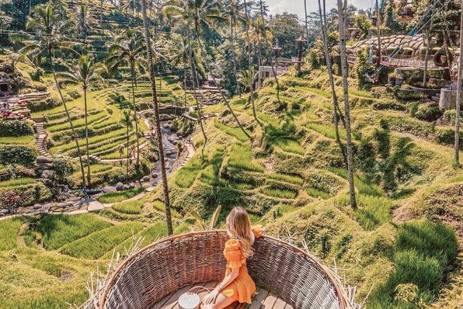 Bali: Ubud Highlights Tour with Private Guide and Transfers - What the private guide adds