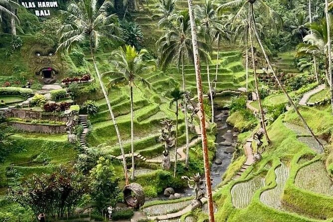 Bali Ubud Private Costomized Tour - Explore Bali your way - Gunung Kawi Sebatu: water, quiet, and a spiritual finish