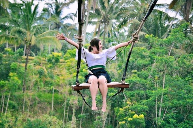 Bali Ubud private Tour with Ubud Bali Driver - FREE WIFI - A flexible way to see Ubud in one day