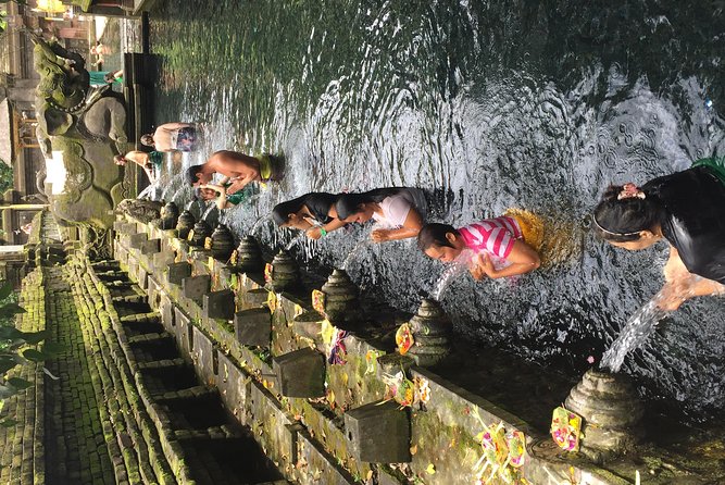 Bali Ubud Tour - Is $80 good value?