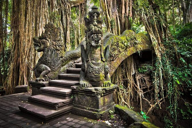 Bali Ubud Tour: Monkey Forest, Waterfall & Rice Terrace - Why this Ubud day tour works well