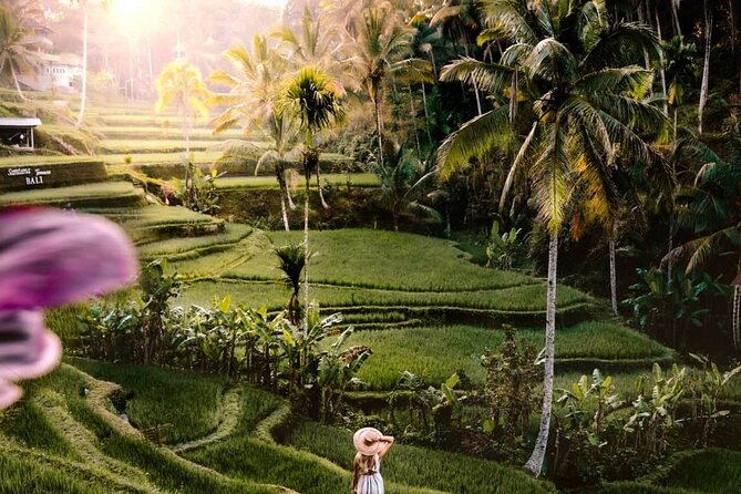 Bali Ubud Tour: Monkey Forest, Waterfall & Rice Terrace - Sacred Monkey Forest, where nature and nerves meet
