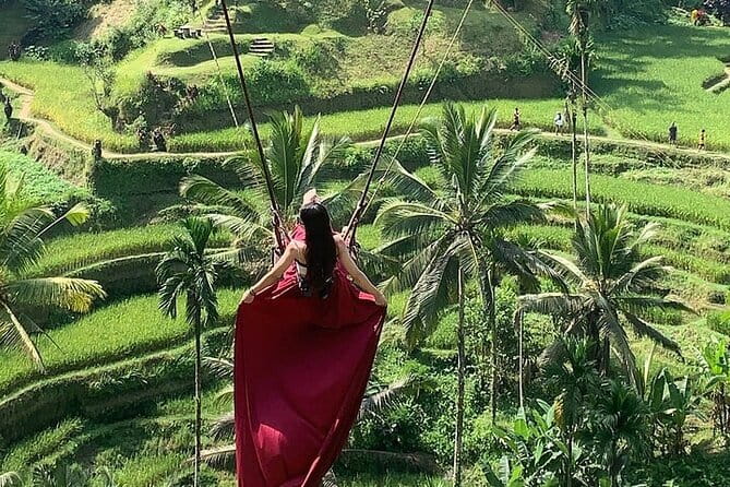 Bali Ubud Tour Monkey Forest, Waterfall, Temple & Rice Terrace - Why this Ubud day works well