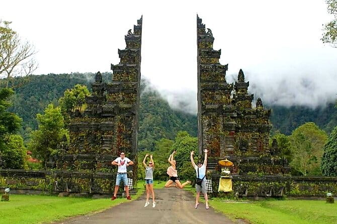 Bali Ubud Tour Monkey Forest, Waterfall, Temple & Rice Terrace - What the private vehicle changes