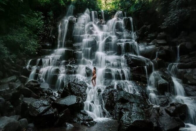 Bali Ubud Tour Monkey Forest, Waterfall, Temple & Rice Terrace - 9:00 a.m. at Sacred Monkey Forest Sanctuary