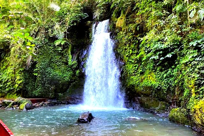 Bali Ubud Zipline Jungle Swing and Waterfall Tour - The jungle swing at Satria Swing