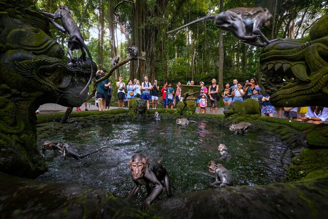 Bali Ubud Zipline, Monkey Forest and Waterfall Adventure - Is $27.36 a good price?