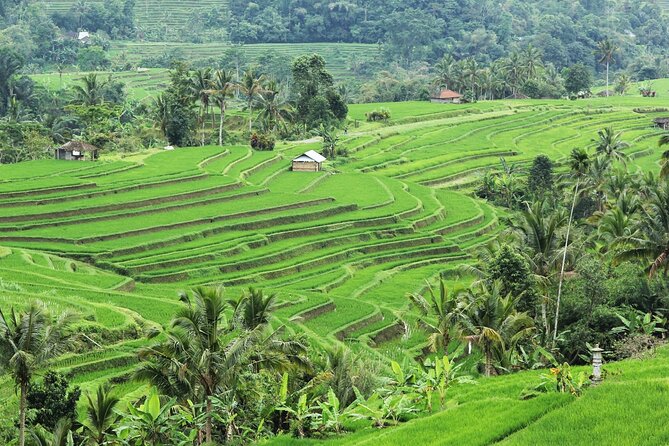 Bali UNESCO Sites: Water Temples and Jatiluwih Rice Terrace Tour - Optional stops and the risk of overloading the day