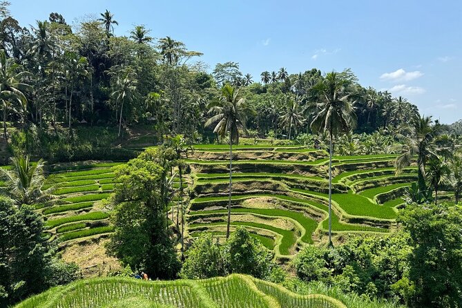 Bali Volcano & Ubud Day Tour – Temples, Rice Terraces & Lunch - A full day from Ubud to Mount Batur