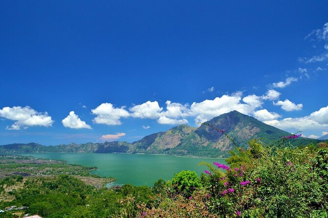 Bali Volcano & Ubud Day Tour – Temples, Rice Terraces & Lunch - Tegallalang Rice Terraces and the photo stop